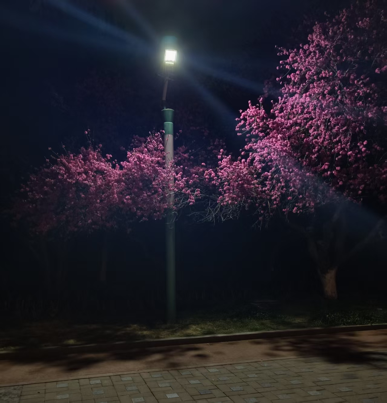 Cover Image of the Post