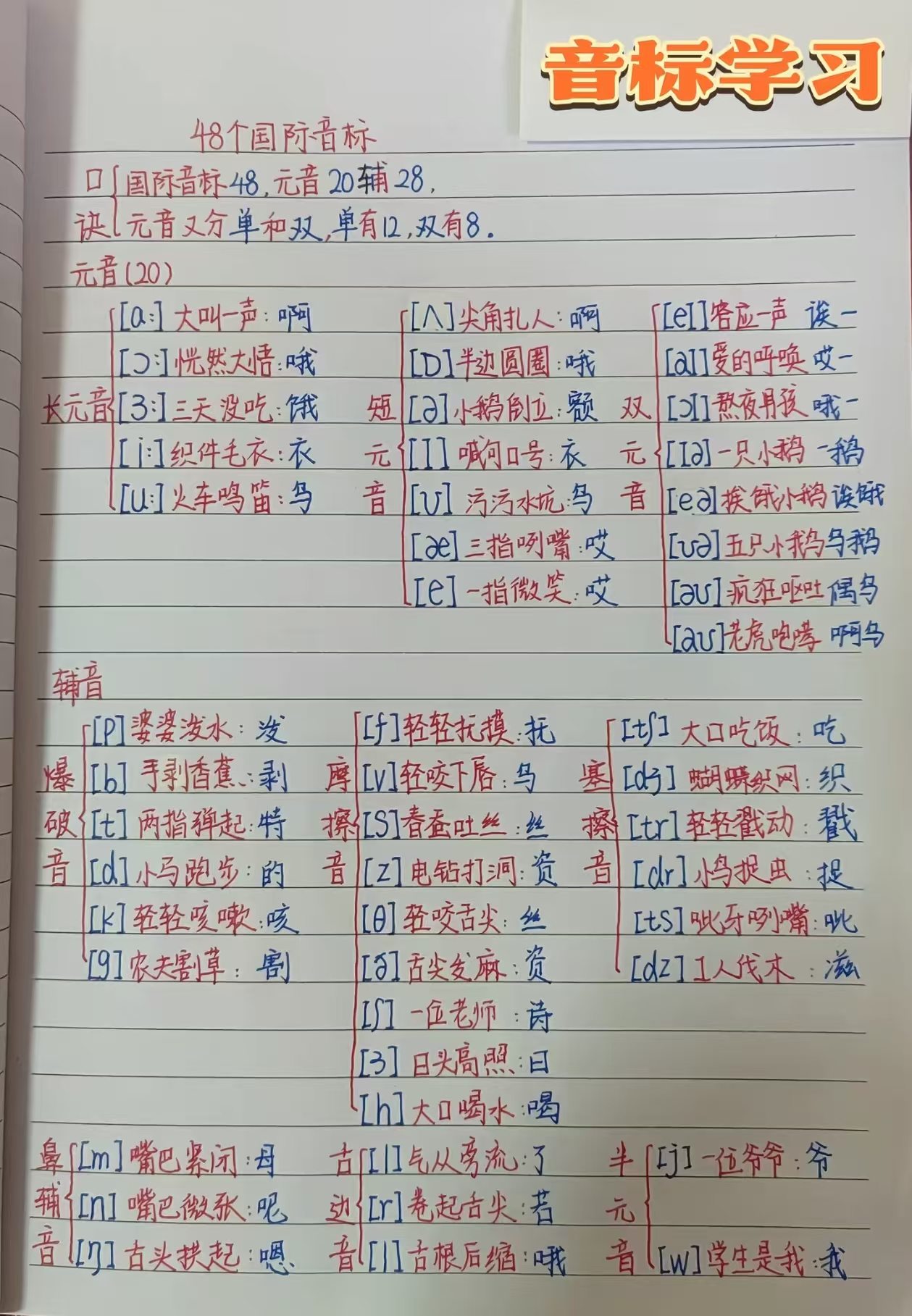 Cover Image of the Post